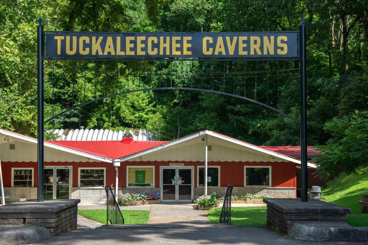 Twin Cub Lodge Tuckaleechee Kültér fotó
